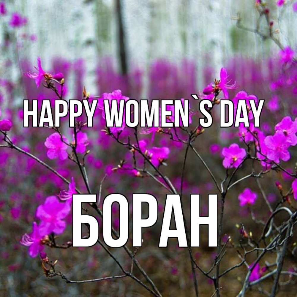 Greetings card с именем, Боран happy women`s day дикие цветы Greetings with text for free download 